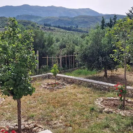 Elvis's * Vlorë